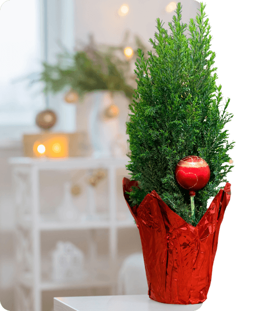 POP up movil christmas